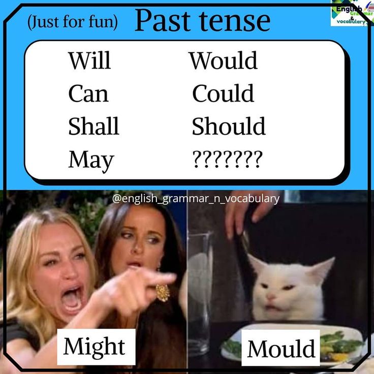 meme tủi thân khi thi IELTS