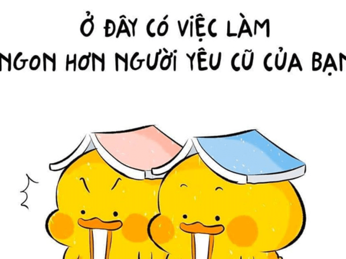 meme tuyển dụng hài hước