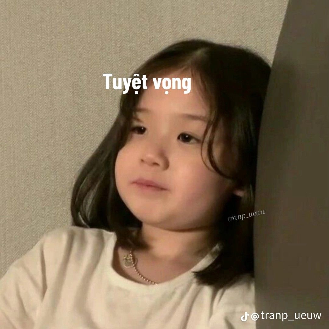 meme tuyệt vọng hài hước