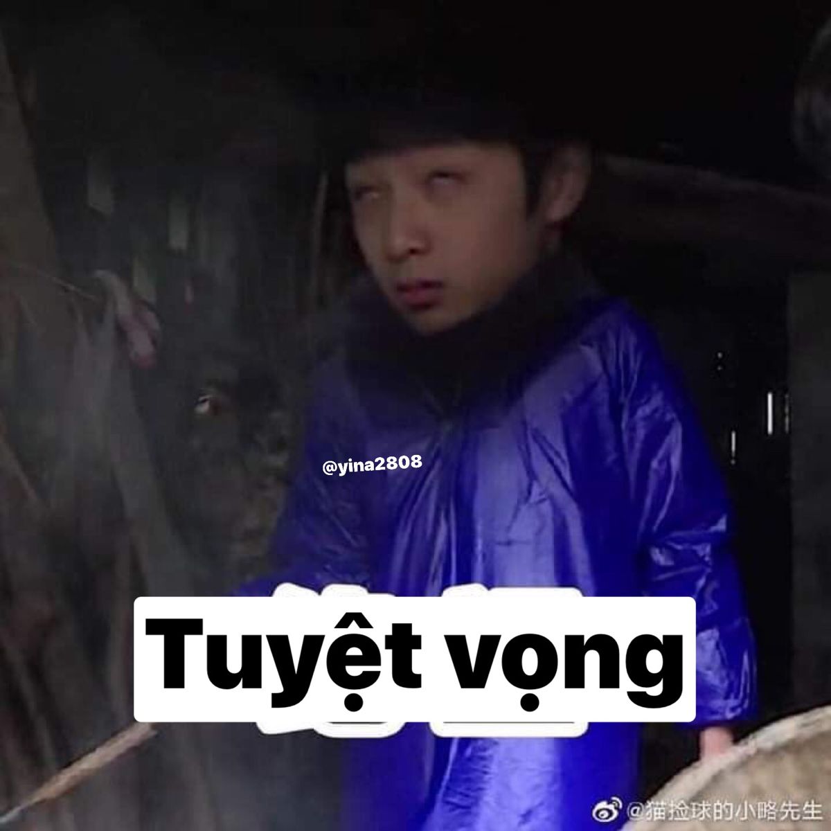 meme tuyệt vọng nổi bật