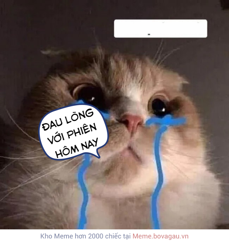 meme tuyệt vọng sáng tạo