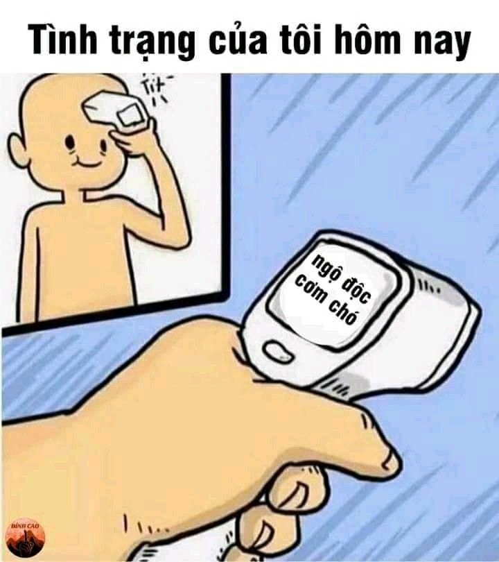 meme về cơm chó