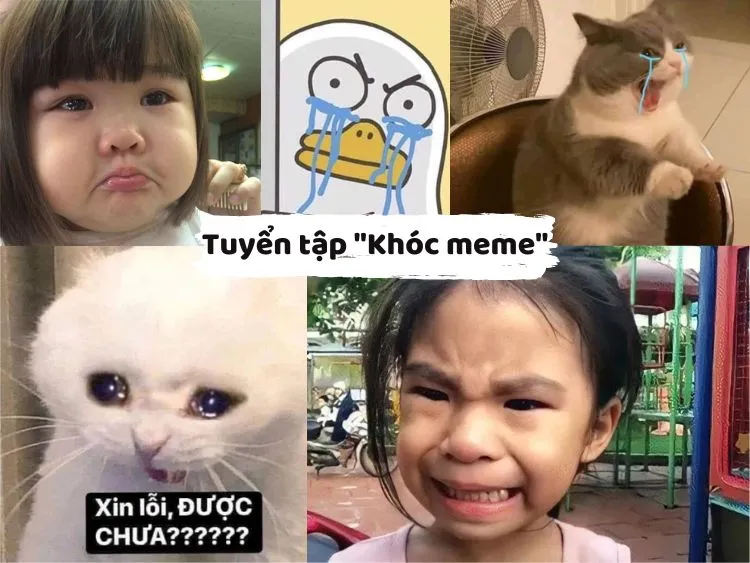 meme vừa khóc vừa cười hài hước