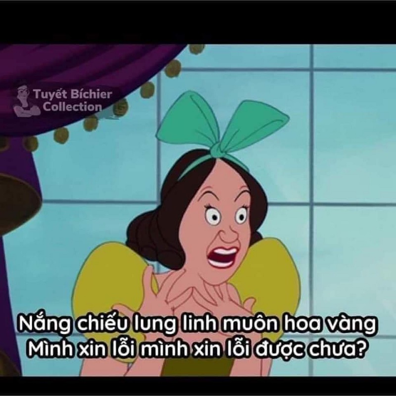 meme xin lỗi nổi bật