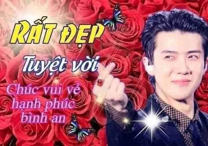 meme xinh đẹp tuyệt vời