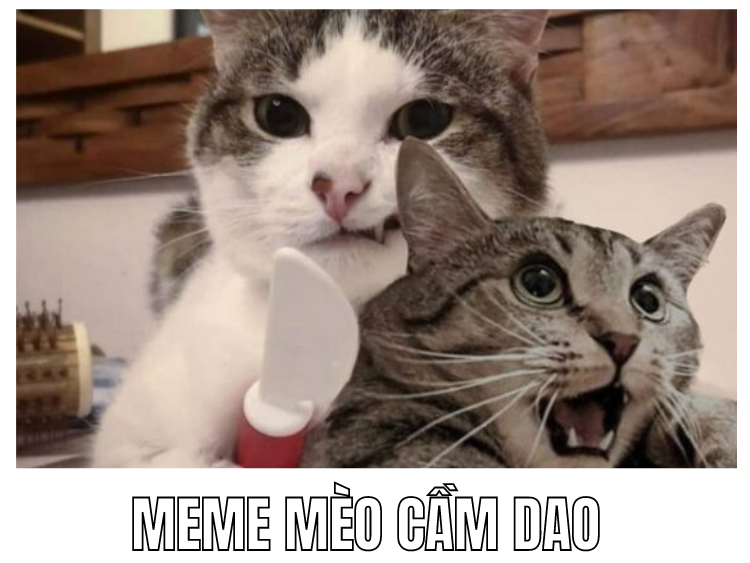 mèo cầm dao meme 0029