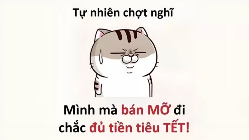 meme Tết 0028