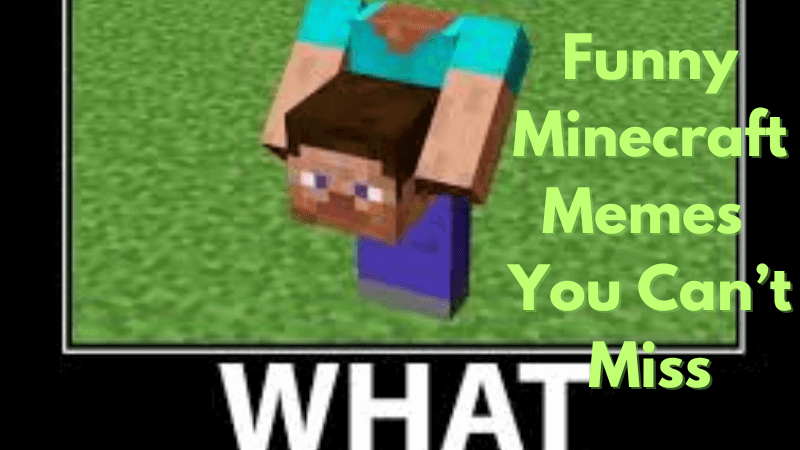 Minecraft meme