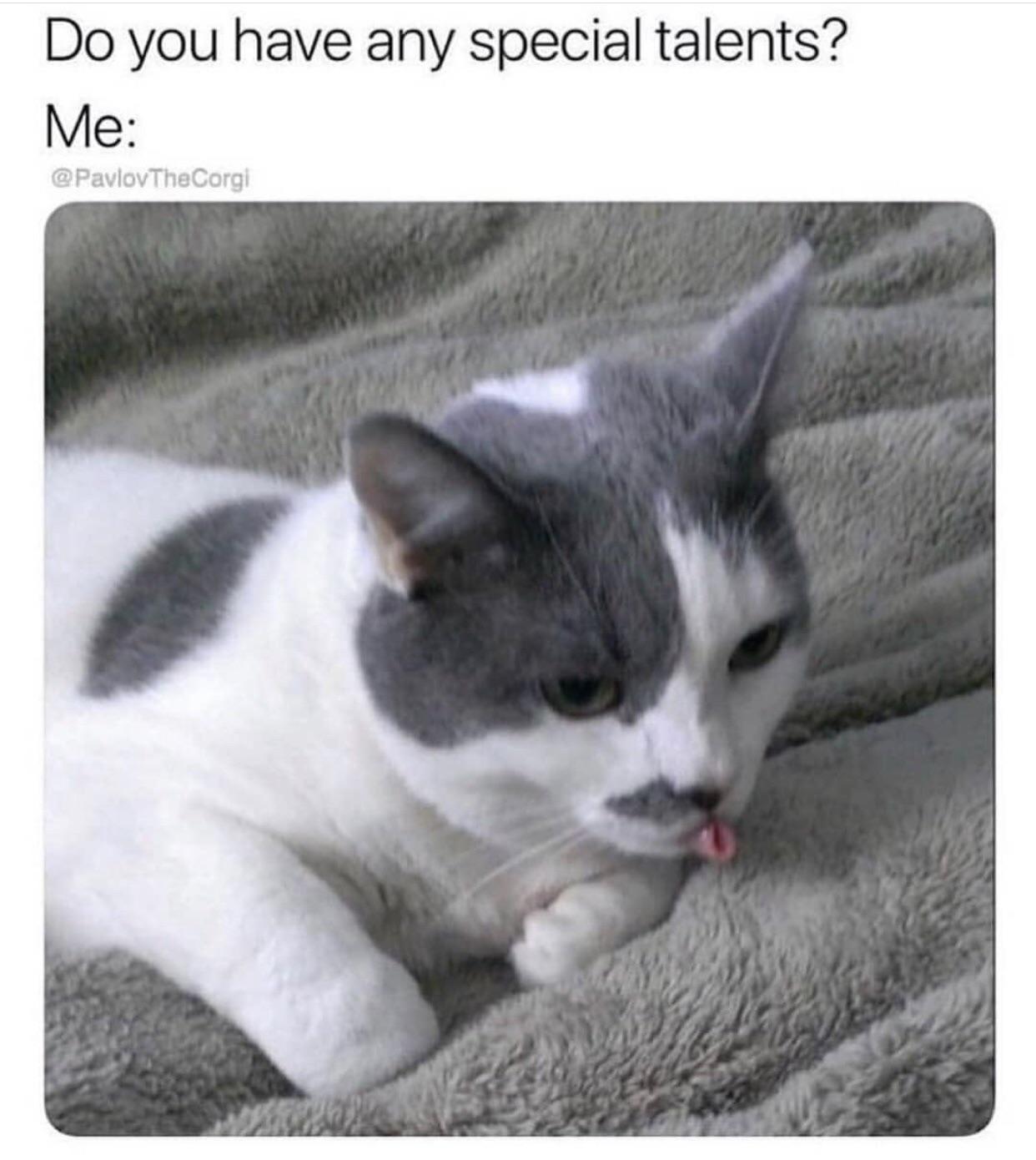 mlem meme 0048