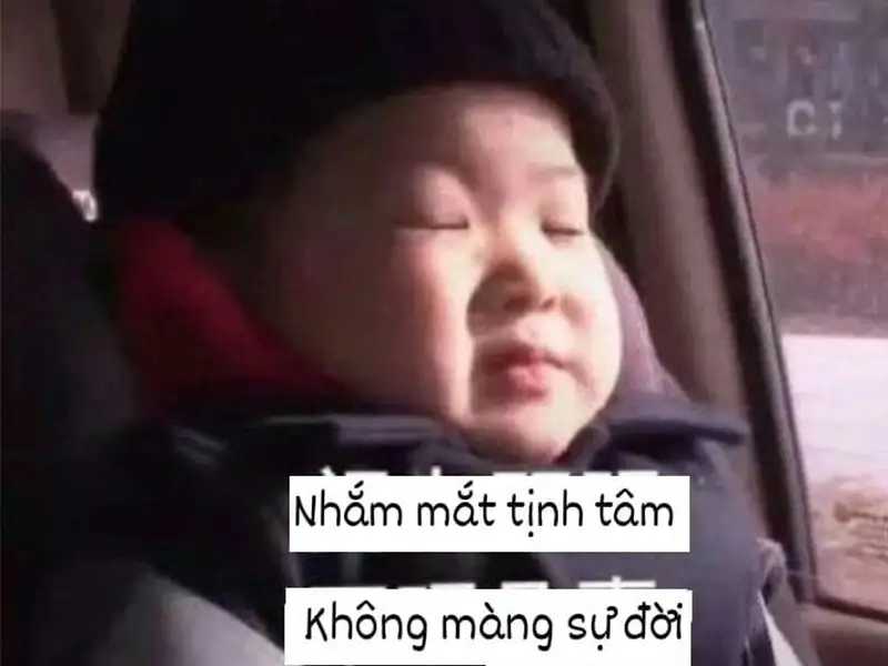 mô phật meme 0029