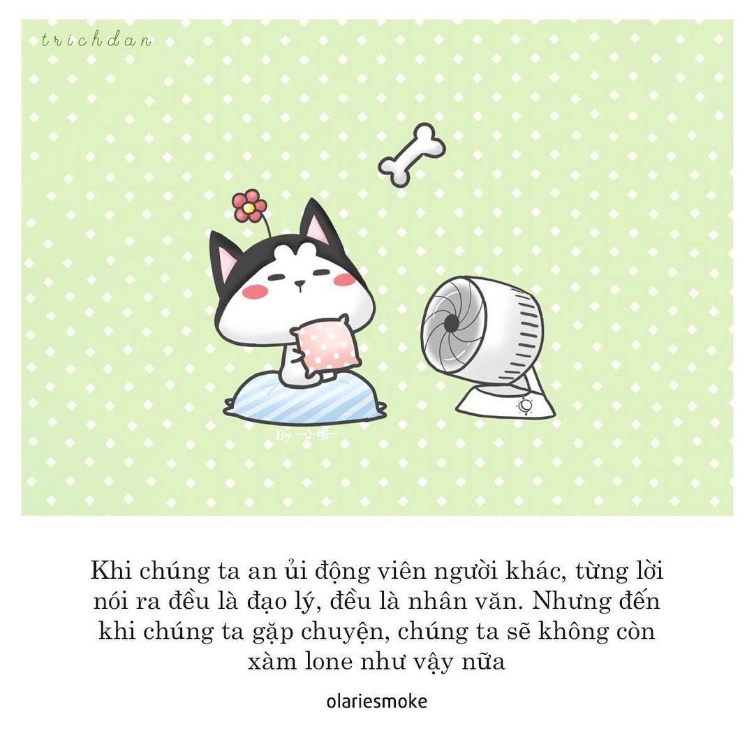 những khoảnh khắc hài hước với thương thương meme an ủi.