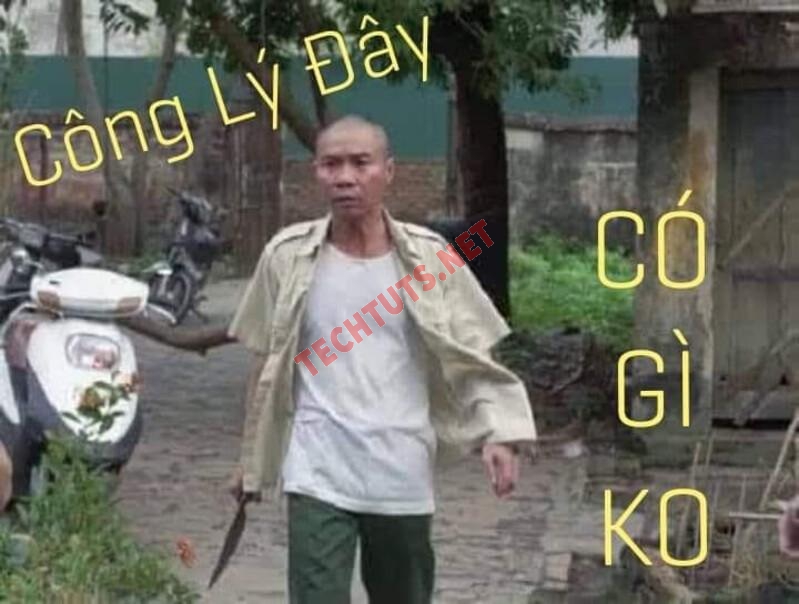 phóng lợn meme 0031