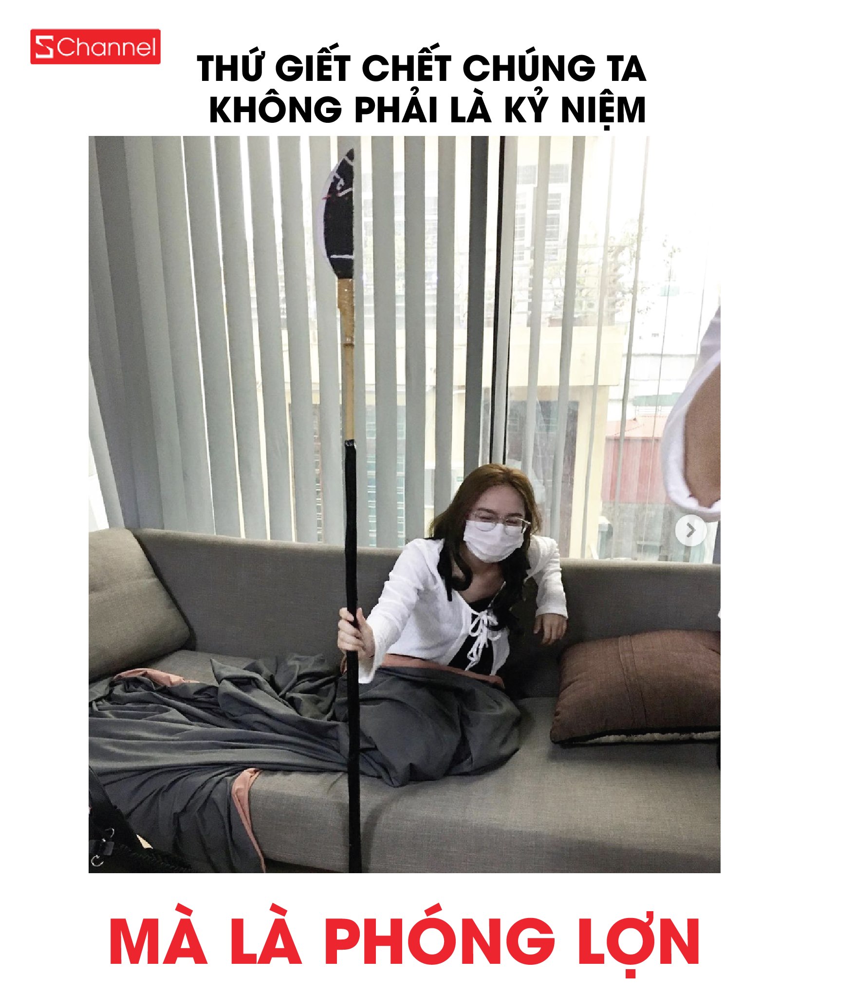 phóng lợn meme 0048