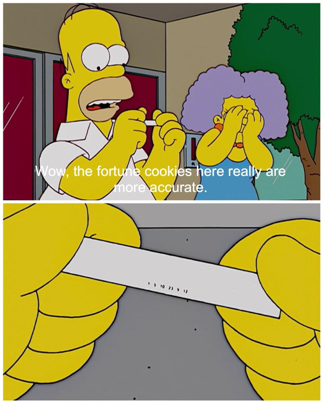 Simpson meme 0031