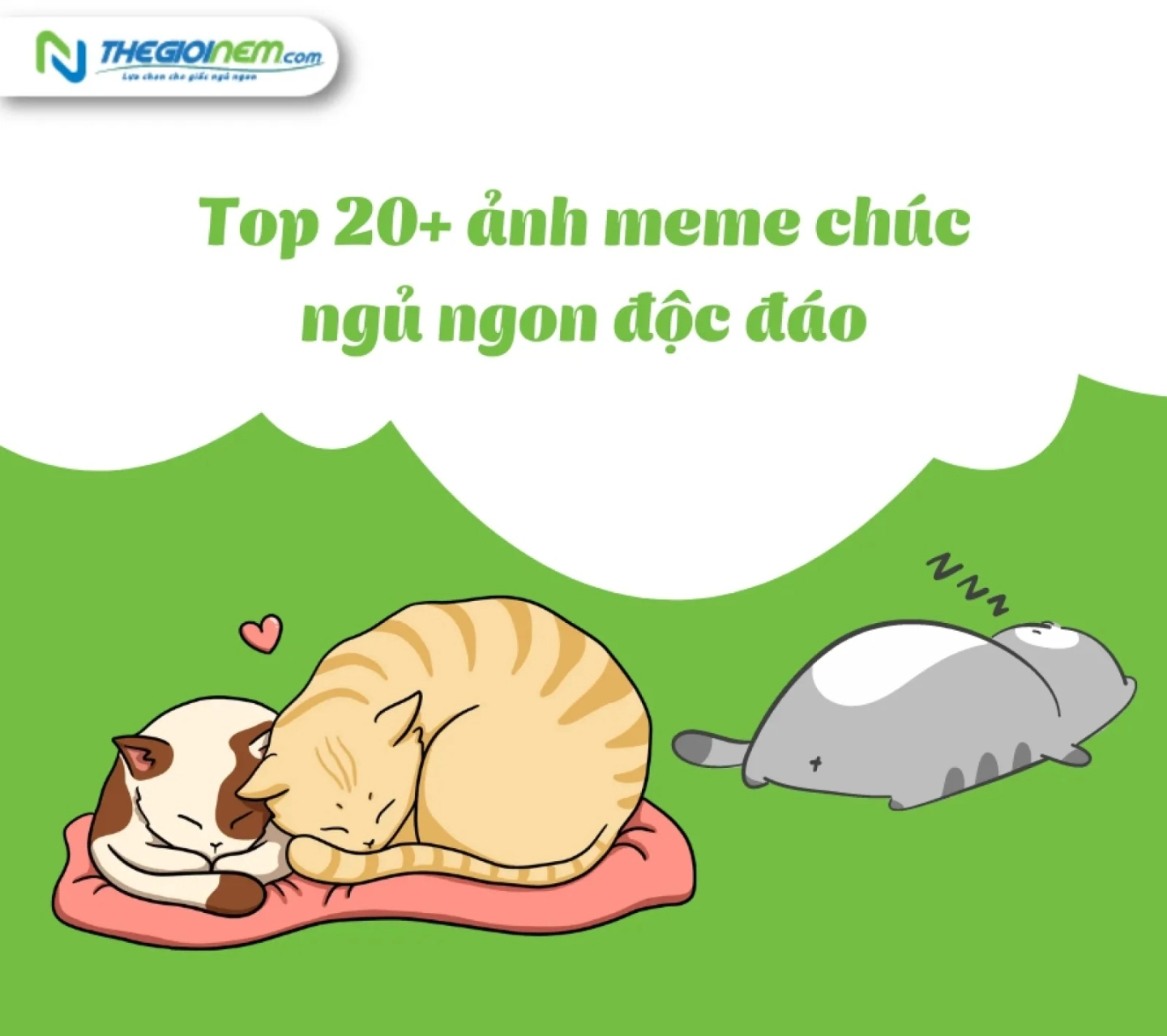 sưu tập ảnh meme chúc ngủ ngon mới nhất