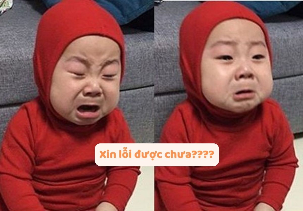 xin lỗi được chưa meme 0043