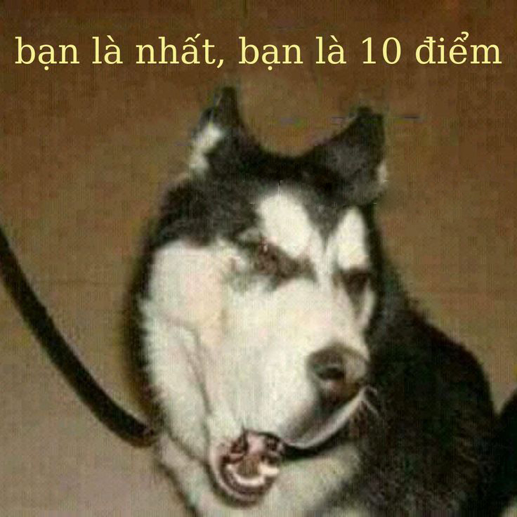 ý nghĩa bạn là nhất meme